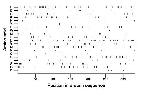 amino acid map