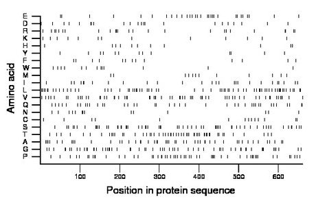 amino acid map