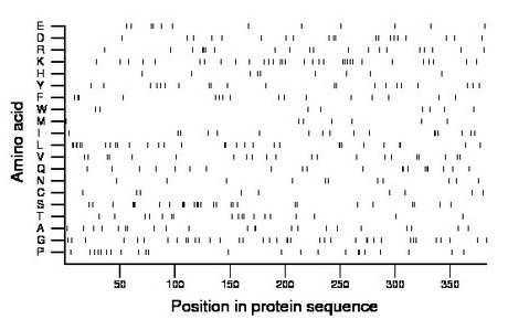 amino acid map