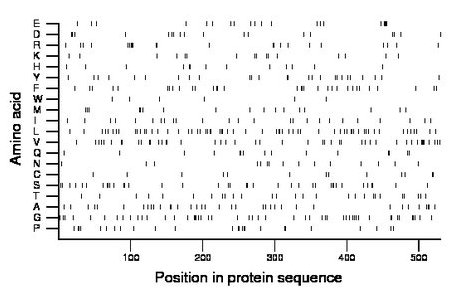 amino acid map