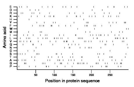 amino acid map