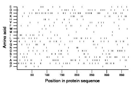 amino acid map