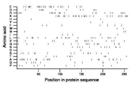 amino acid map