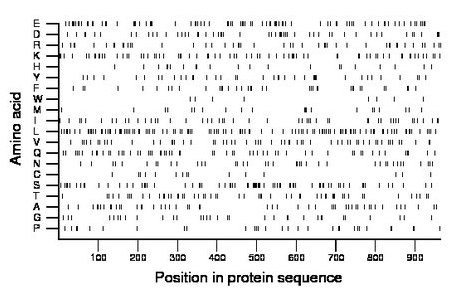 amino acid map