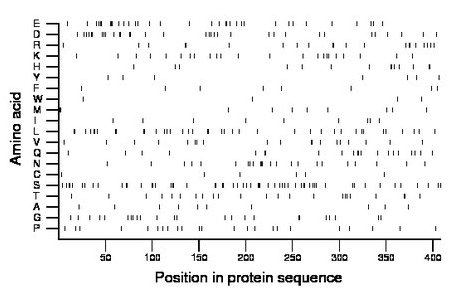 amino acid map