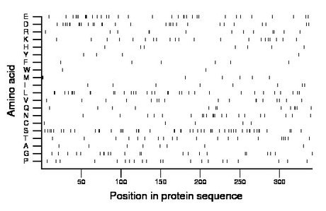 amino acid map