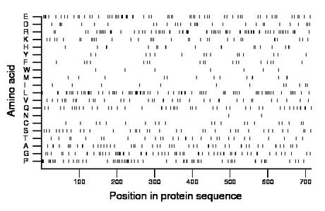 amino acid map