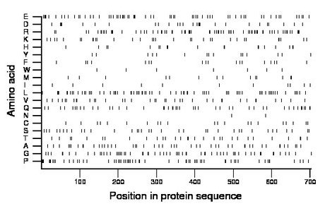 amino acid map