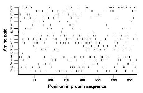 amino acid map