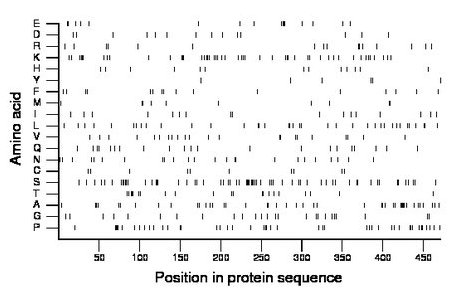 amino acid map