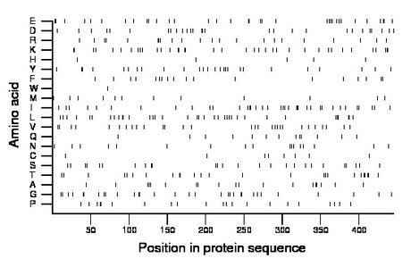 amino acid map