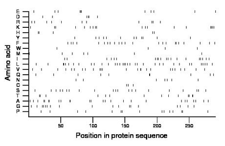 amino acid map