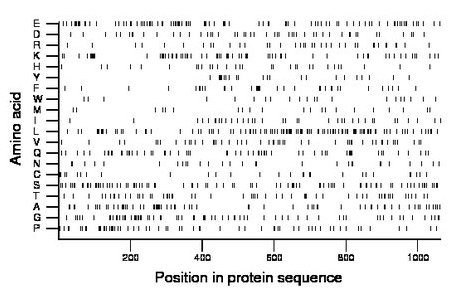 amino acid map