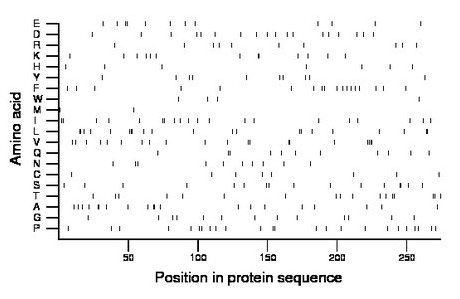 amino acid map