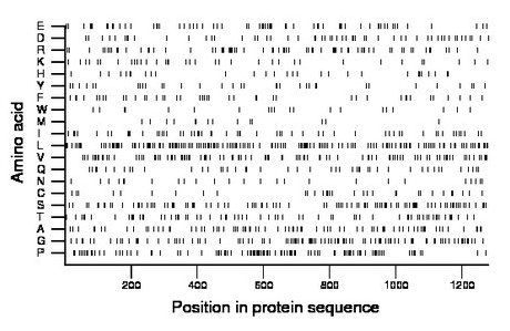 amino acid map