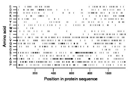 amino acid map