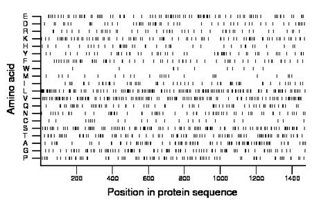 amino acid map