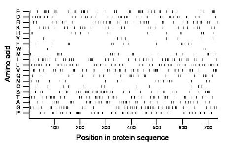 amino acid map