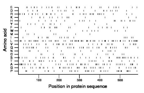 amino acid map