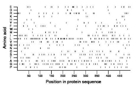 amino acid map