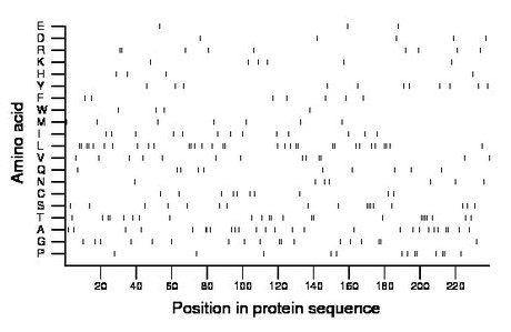 amino acid map