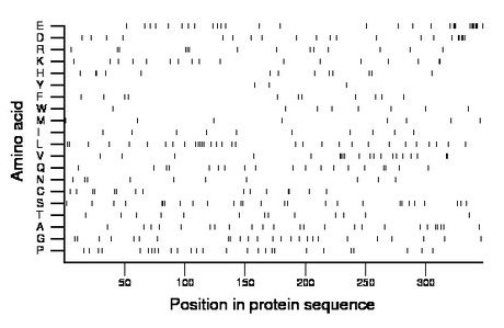 amino acid map