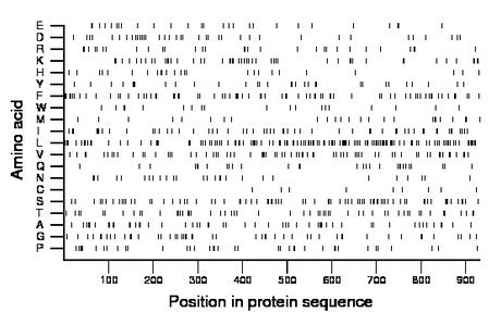 amino acid map