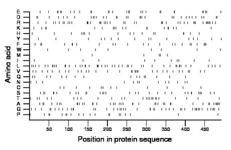 amino acid map