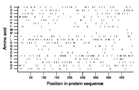 amino acid map