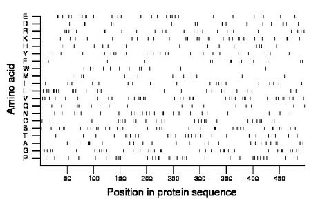 amino acid map