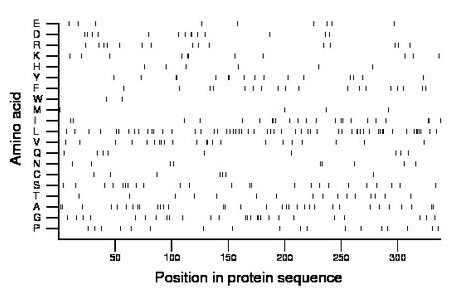 amino acid map