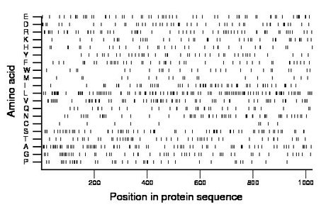 amino acid map