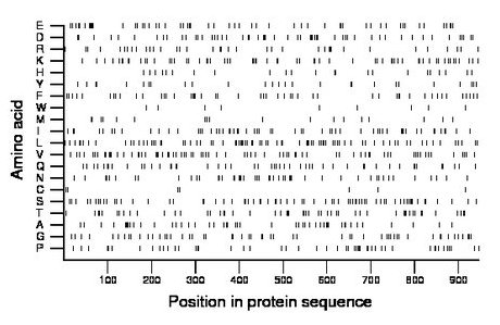 amino acid map