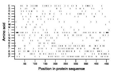 amino acid map