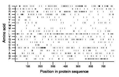 amino acid map