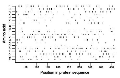 amino acid map