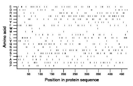 amino acid map