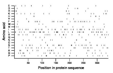 amino acid map