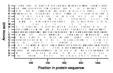 amino acid map