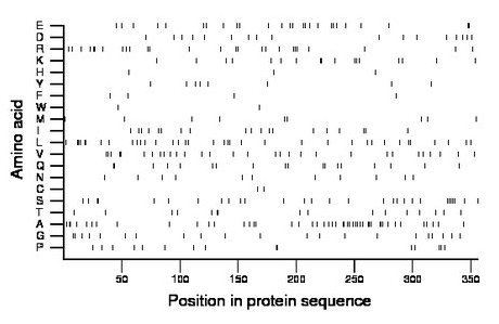 amino acid map