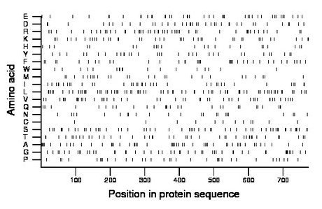 amino acid map