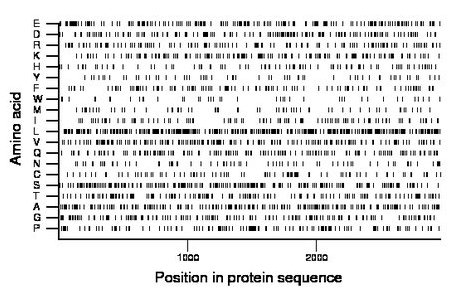 amino acid map