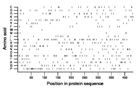 amino acid map