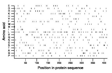 amino acid map