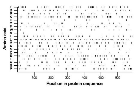 amino acid map