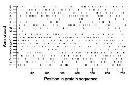 amino acid map