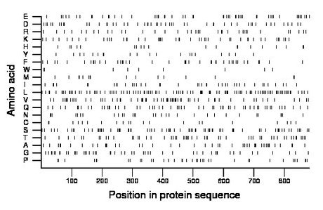 amino acid map