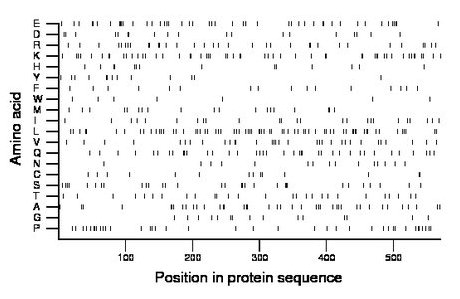 amino acid map