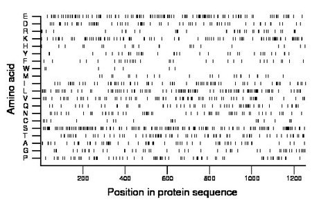 amino acid map