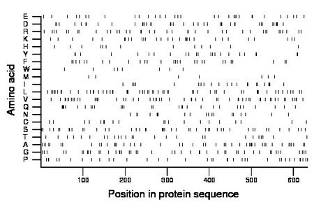 amino acid map